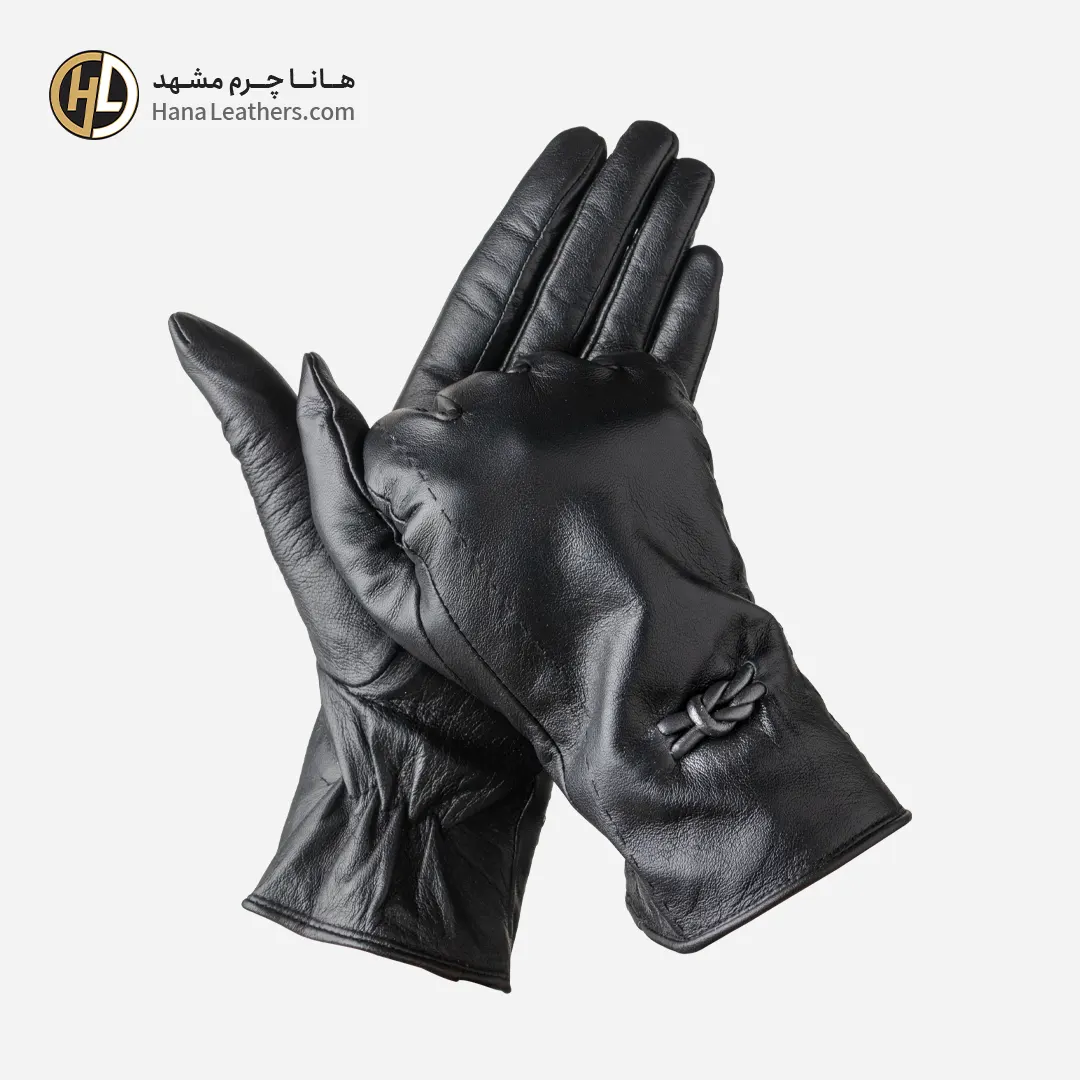 GS-60--GS101903-01 دستکش چرم زنانه هستی